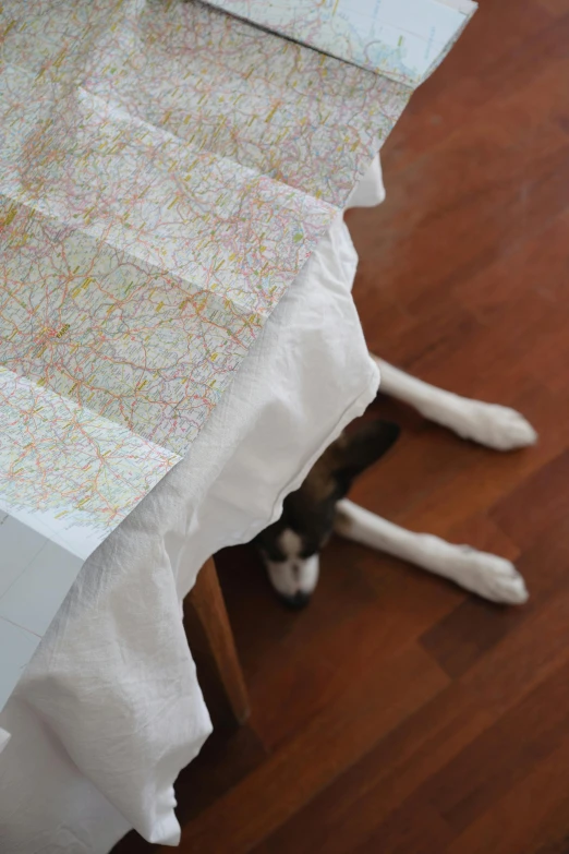 a cat laying on the floor next to a table, by Jessie Algie, process art, cartography map art, tablecloth, made of lab tissue, dos