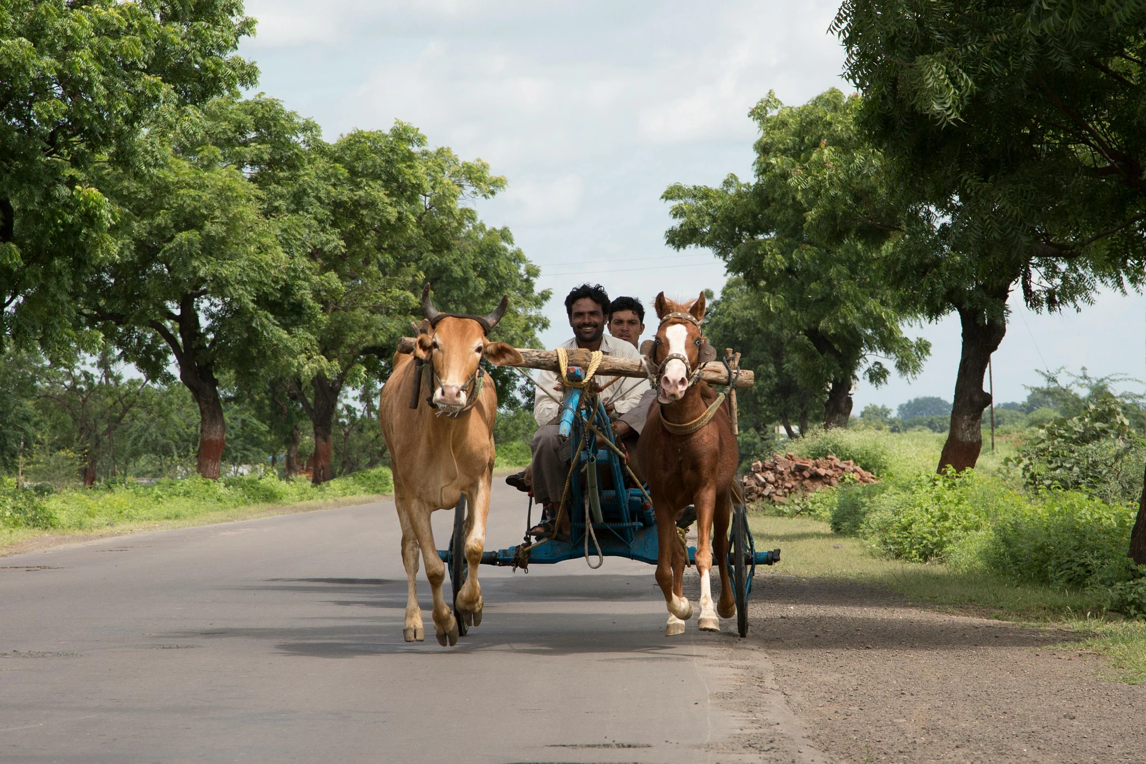 a couple of people riding on the back of a horse drawn carriage, samikshavad, 2022 photograph, country road, graham humphreys, merchants