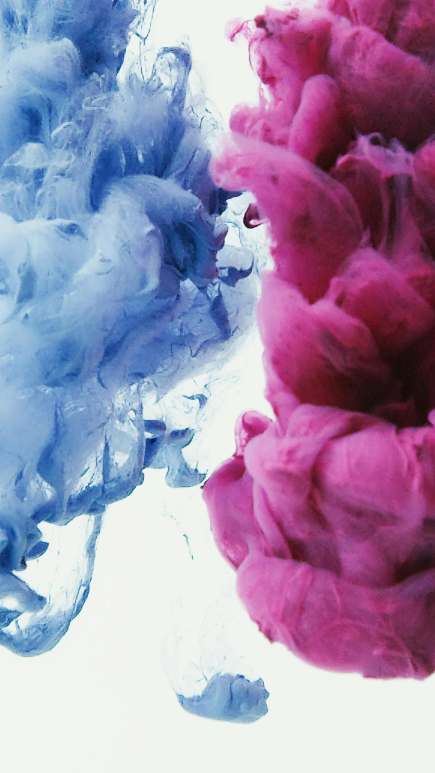 a close up of two colored inks in water, an album cover, inspired by Alberto Seveso, pexels, cotton candy clouds, magenta and blue, prussian blue and venetian red, made of cotton candy