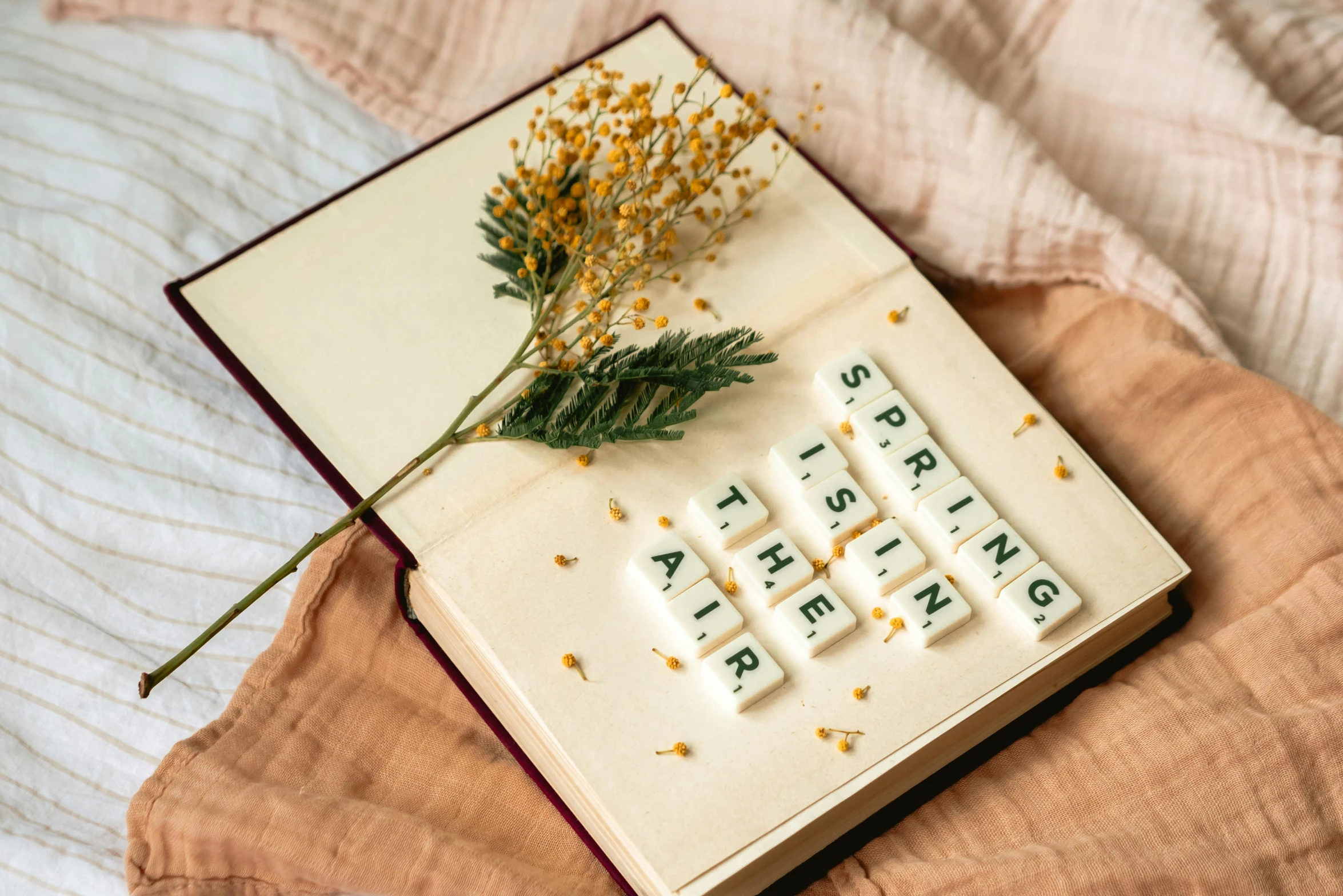 a book sitting on top of a bed next to a flower, a cross stitch, trending on unsplash, board game, made of dried flowers, style lettering, spring season