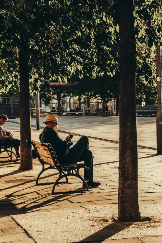 a group of people sitting on park benches, in the morning light, seville, older male, unsplash photo contest winner