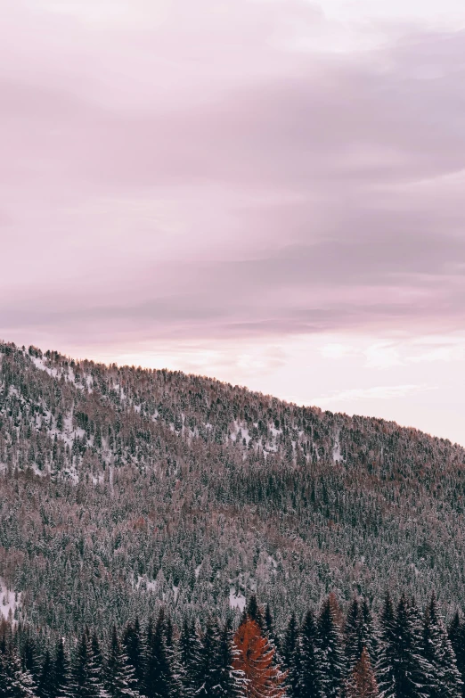 a group of people riding skis on top of a snow covered slope, a picture, trending on unsplash, tonalism, pink trees, cliff side at dusk, sparse pine trees, panorama