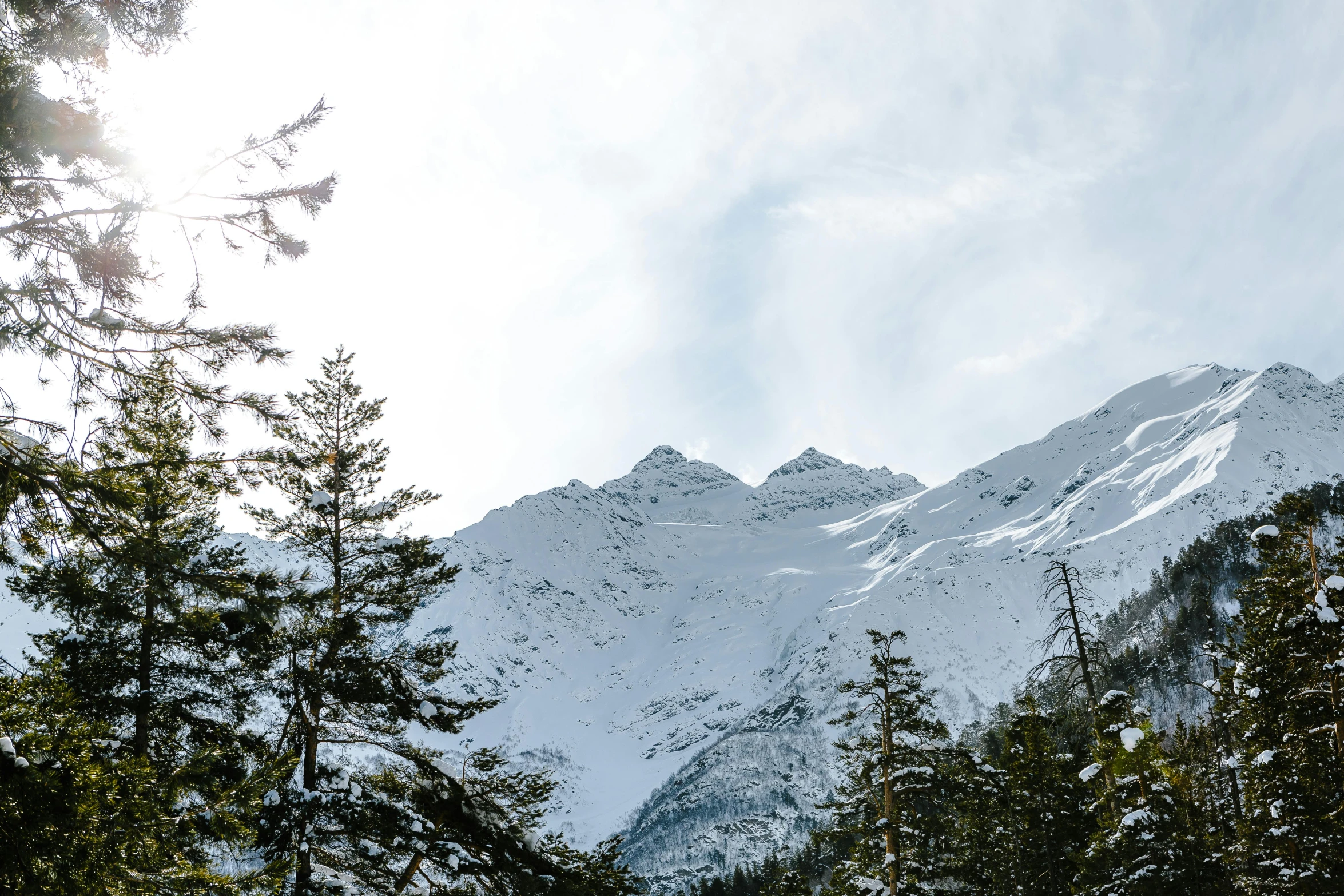 a man riding skis down a snow covered slope, an album cover, pexels contest winner, lush forest in valley below, glacier, black fir, landscape photo