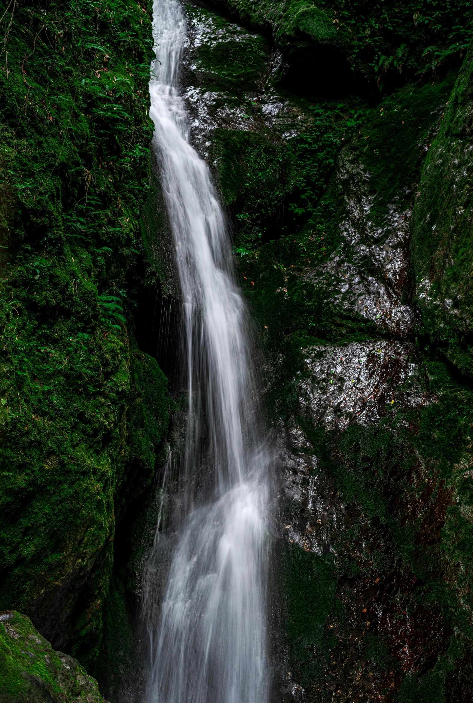 a waterfall in the middle of a lush green forest, by Daniel Seghers, ultrawide image, looking down, low iso