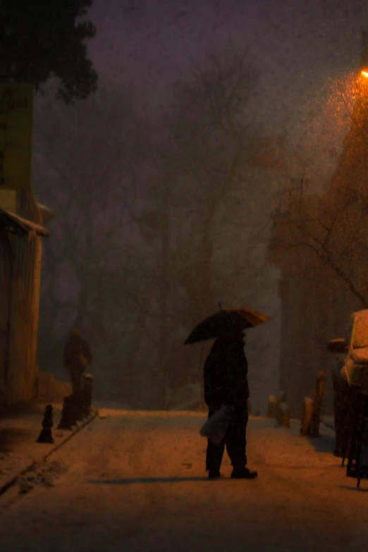 a couple of people walking down a street at night, inspired by Carl Spitzweg, tonalism, snowstorm ::5, fan favorite, miss aniela, pensive lonely