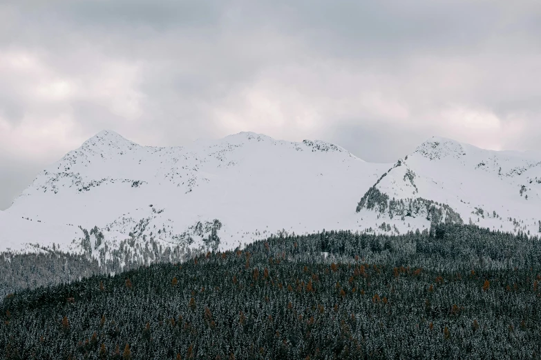 a couple of people riding skis on top of a snow covered mountain, a photo, pexels contest winner, minimalism, spruce trees on the sides, overcast gray skies, 4 k cinematic panoramic view, distant mountains lights photo