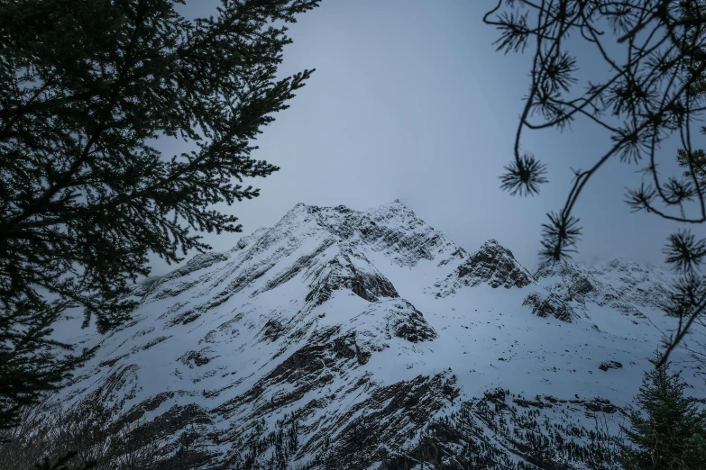 a snow covered mountain with pine trees in the foreground, a picture, by Matthias Weischer, hurufiyya, head looking up, grey skies, high quality image, nordic crown