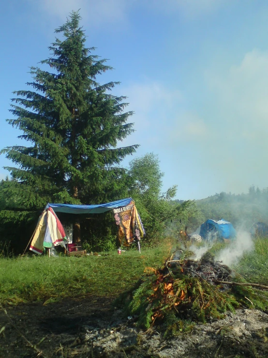 a group of tents sitting on top of a lush green field, a picture, burning trees, profile image