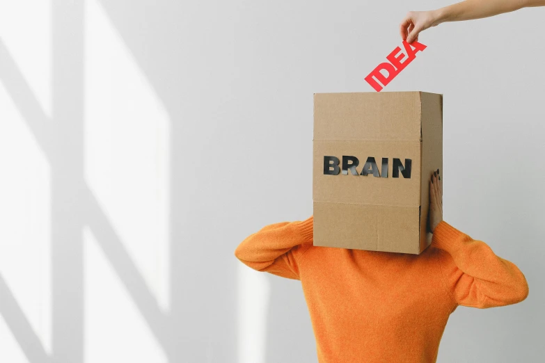 a person holding a cardboard box over their head with the word brain on it, pexels contest winner, minimalistic design, idealised, brainstorm, brown