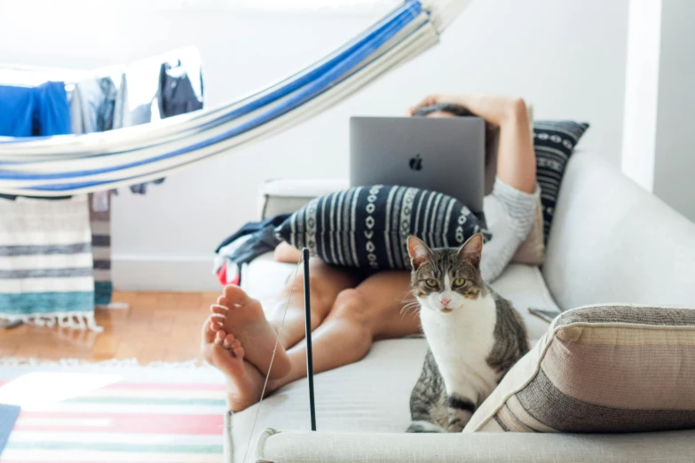 a cat sitting on a couch next to a person on a laptop, by Julia Pishtar, pexels contest winner, chill summer, messy cords, malika favre, very perfect position