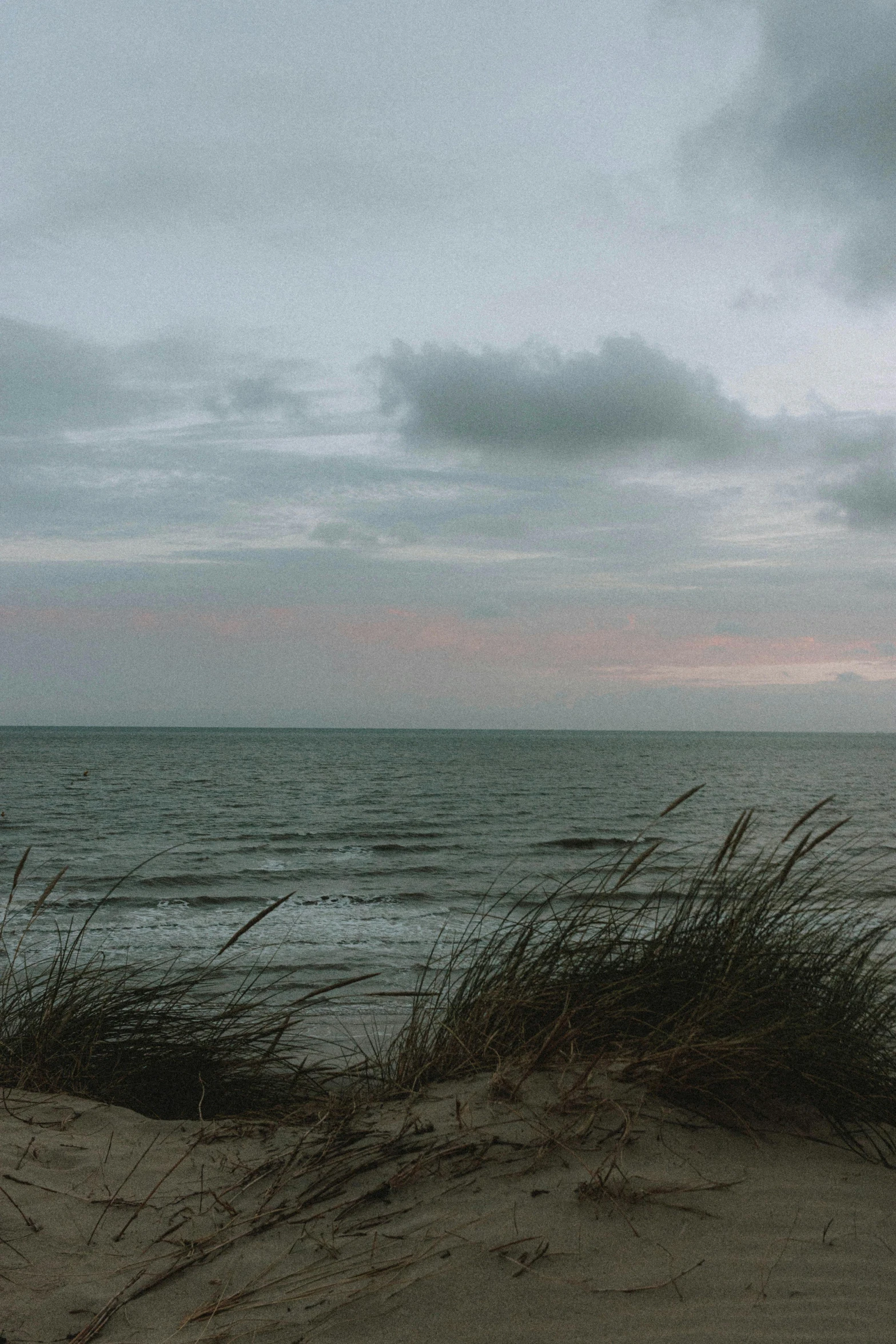 a man standing on top of a sandy beach next to the ocean, by Jan Tengnagel, unsplash, happening, overcast dusk, long grass in the foreground, 4 k cinematic panoramic view, with a long