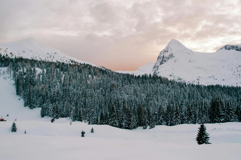 a man riding skis down a snow covered slope, pexels contest winner, process art, spruce trees on the sides, sunset in a valley, a cozy, mountainous