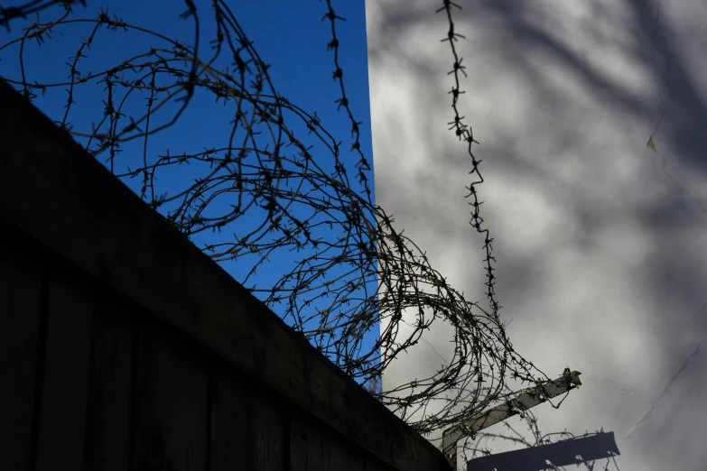 a barbed wire fence in front of a building, by Dave Allsop, unsplash, show from below, back alley, thorn crown, blue wall