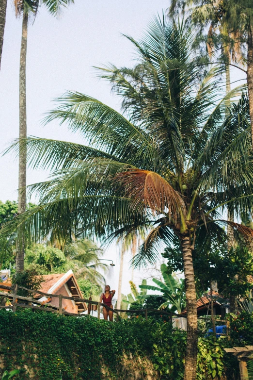 a man riding a horse on top of a lush green field, unsplash, sumatraism, beachwood treehouse, a palm tree, low quality photo, thai architecture