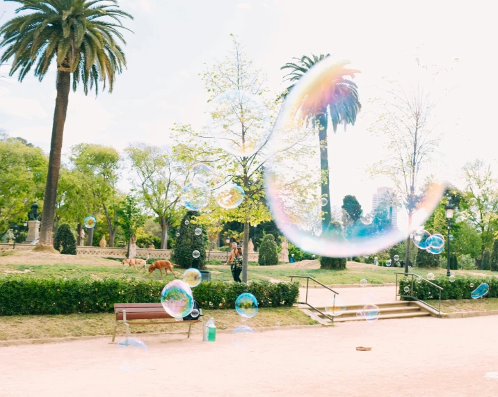 a group of people playing with bubbles in a park, a picture, by Sophie Pemberton, unsplash contest winner, flying trees and park items, melbourne, kawaii aesthetic, overexposed