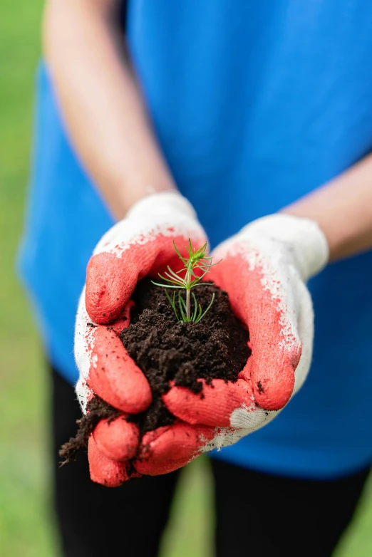 a person holding a small plant in their hands, red gloves, aged 13, ground-breaking, avatar image