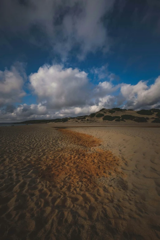 a person riding a surfboard on top of a sandy beach, a picture, by Andries Stock, unsplash, baroque, scattered clouds, jodorwoski's dune, quixel megascans, landscape photo