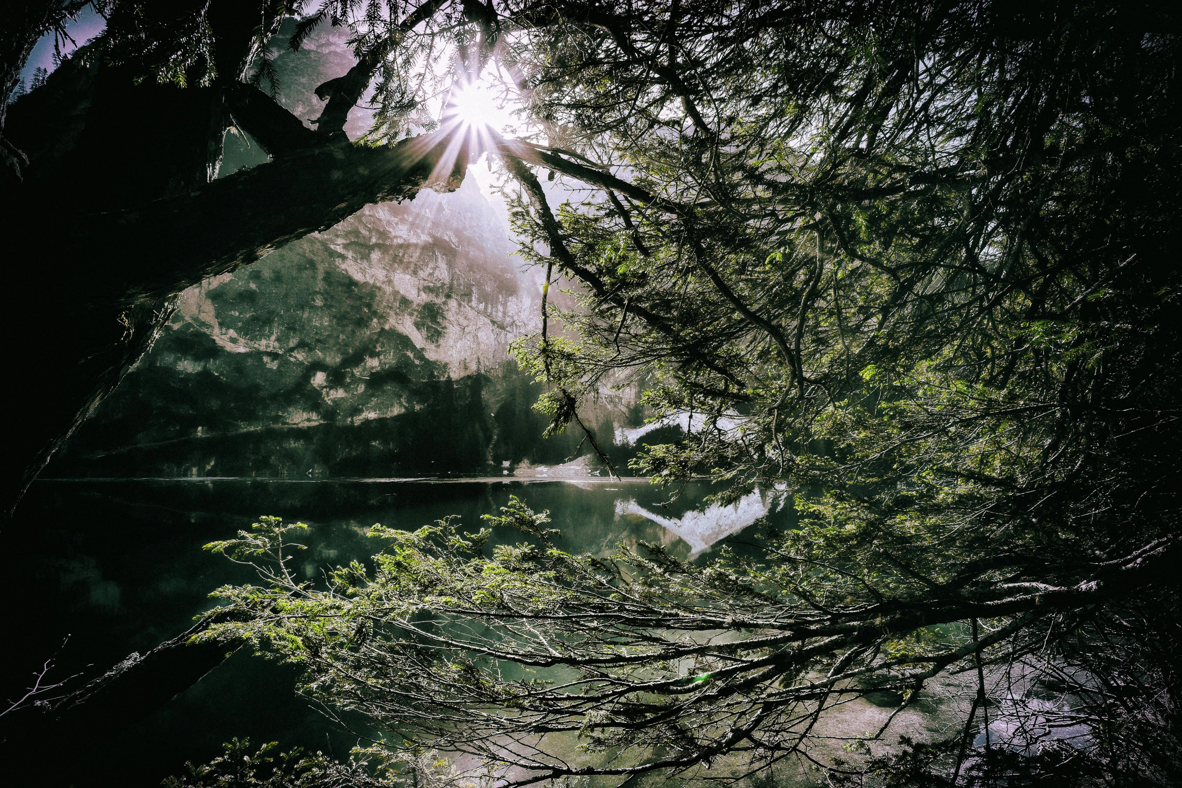 a large body of water surrounded by trees, inspired by Eyvind Earle, unsplash, light and space, sun through the trees, chile, overhanging branches, atmospheric photo