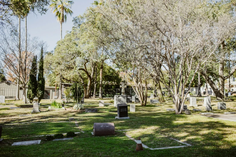a cemetery with tombstones and trees in the background, a portrait, by Gwen Barnard, unsplash, wide panoramic shot, sydney hanson, ignant, julia fuentes