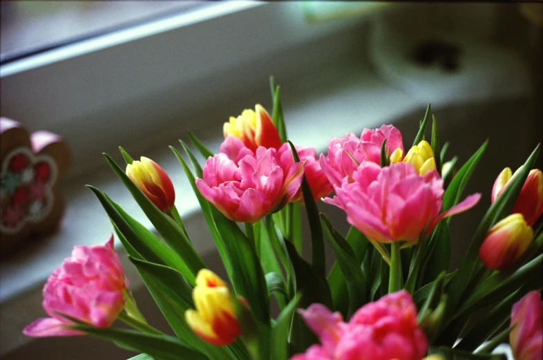 a vase filled with pink and yellow flowers, by Jan Tengnagel, pexels, tulip, small plants on the window sill, glossy surface, unedited