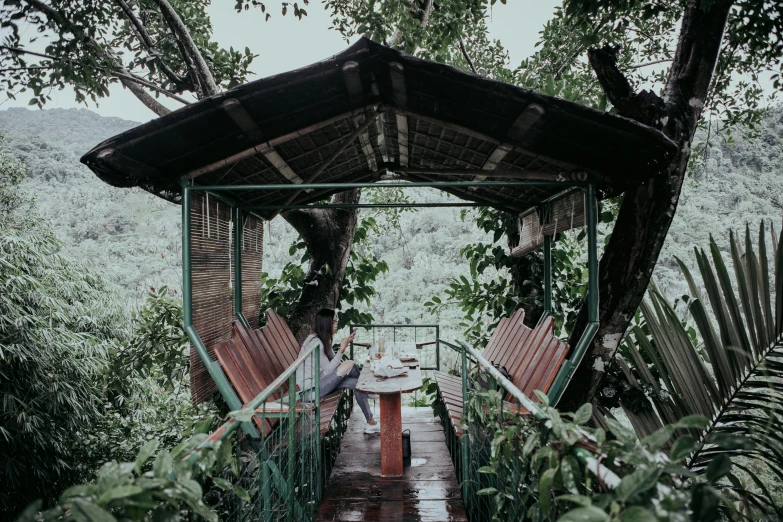 a couple of people sitting at a table under a tree, pexels contest winner, sumatraism, floral jungle treehouse, panoramic view, sri lanka, wide shot of a cabin interior