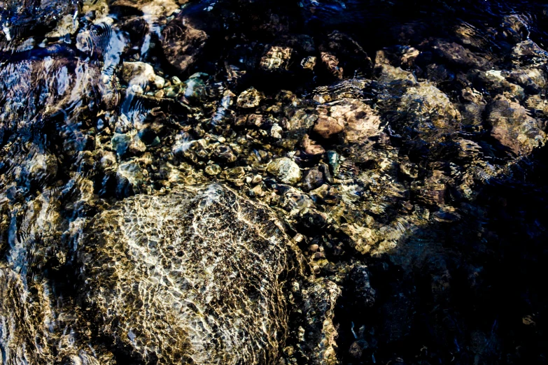 a close up of rocks and water in a stream, an album cover, by Niko Henrichon, unsplash, sea floor, glistening gold, ignant, black