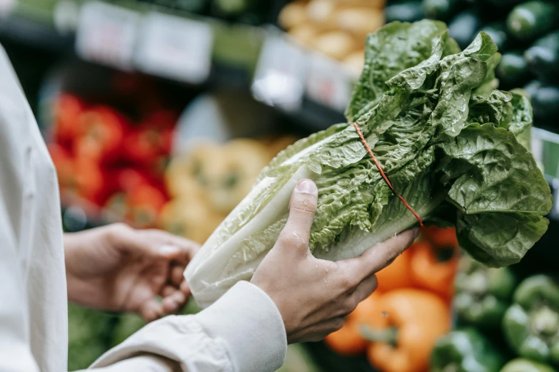 a close up of a person holding a bunch of lettuce, by Nicolette Macnamara, pexels, realism, getting groceries, 🦩🪐🐞👩🏻🦳, plastic wrap, then another