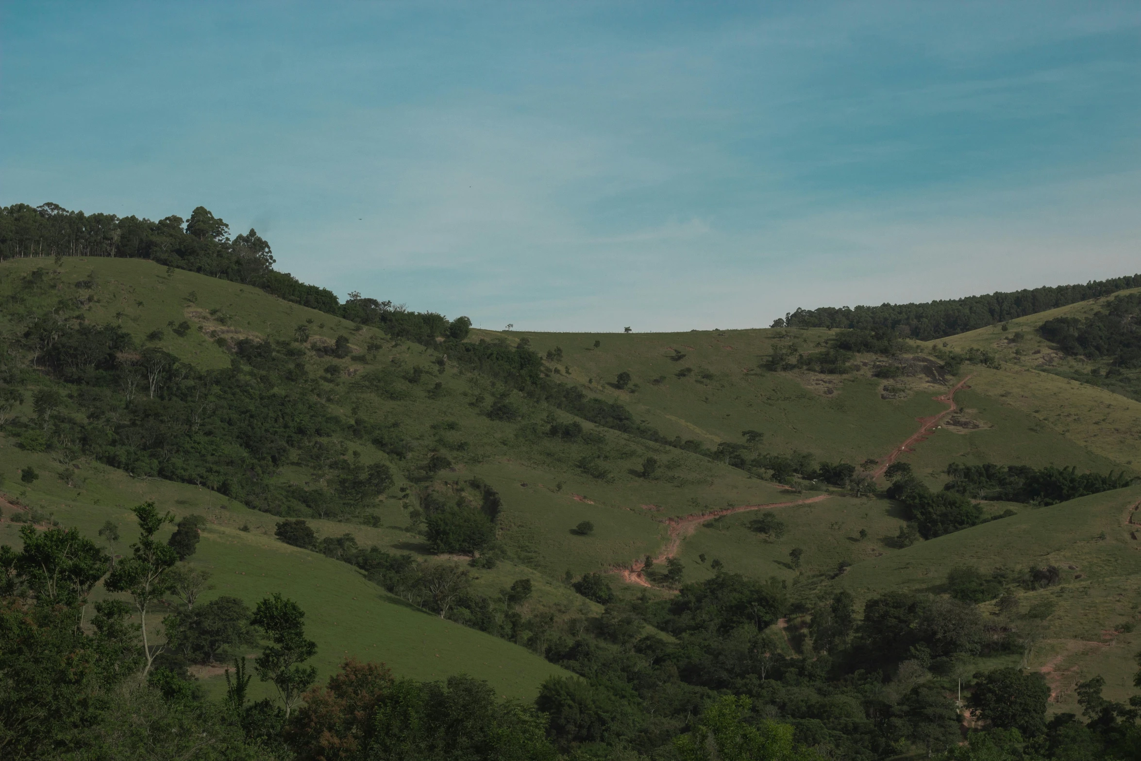 a herd of cattle grazing on a lush green hillside, an album cover, by Elsa Bleda, pexels contest winner, panorama distant view, shipibo, mechabot, hilly road