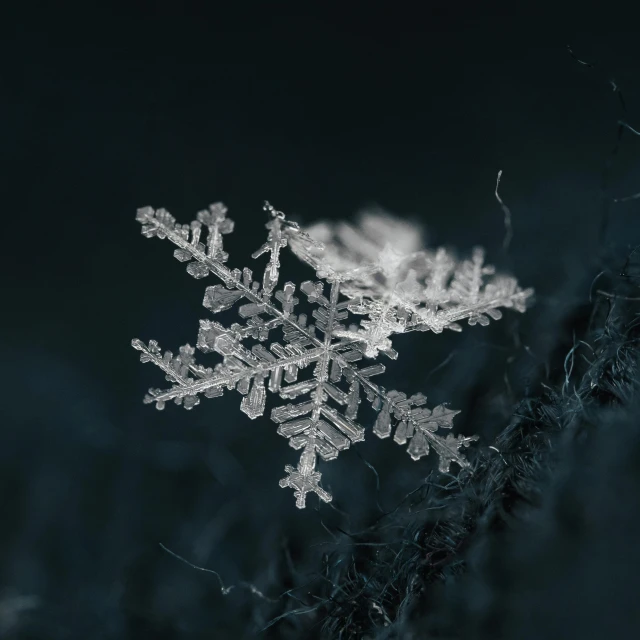 a snowflake sitting on top of a tree branch, a macro photograph, by Adam Marczyński, pexels contest winner, on a dark background, made of crystals, illustration, high angle close up shot