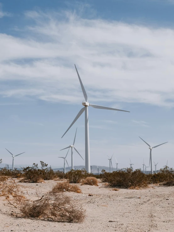 a group of wind turbines sitting in the middle of a desert, profile image