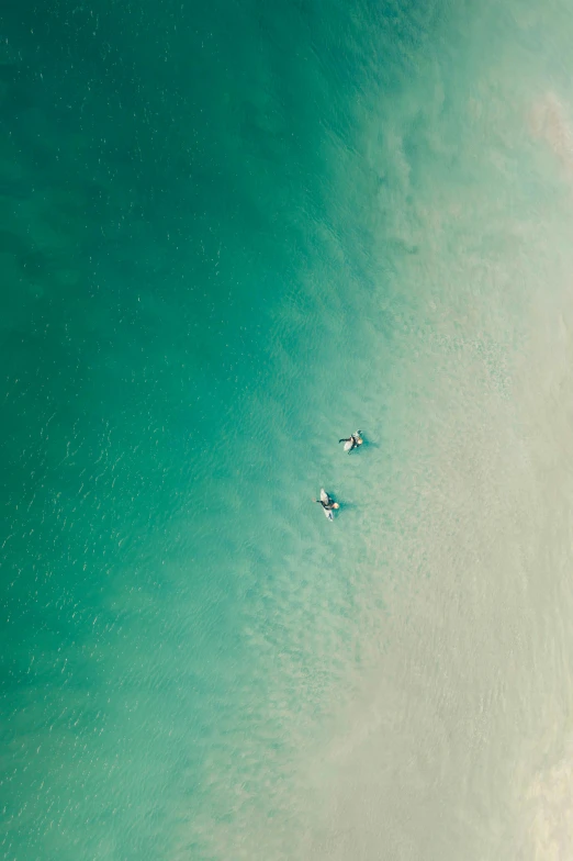 a couple of people riding surfboards on top of a sandy beach, by Peter Churcher, unsplash contest winner, minimalism, helicopter view, calmly conversing 8k, floating. greenish blue, 15081959 21121991 01012000 4k