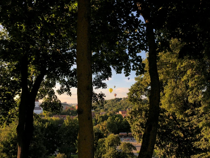 a park bench sitting on top of a lush green field, a photo, inspired by Carl Spitzweg, unsplash contest winner, hanging from a hot air balloon, view over city, walking through the trees, trip to legnica