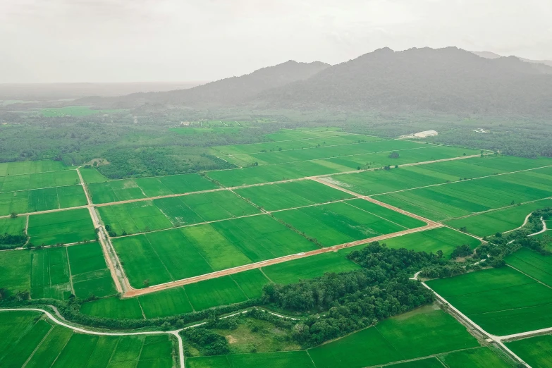 an aerial view of a green field with mountains in the background, hoang long ly, rectangle, documentary photo, 4k)