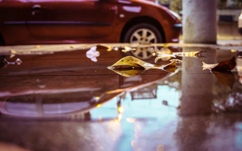 a reflection of a car in a puddle of water, unsplash, gold leaves, in front of a garage, water - logged, 4 5 mm bokeh