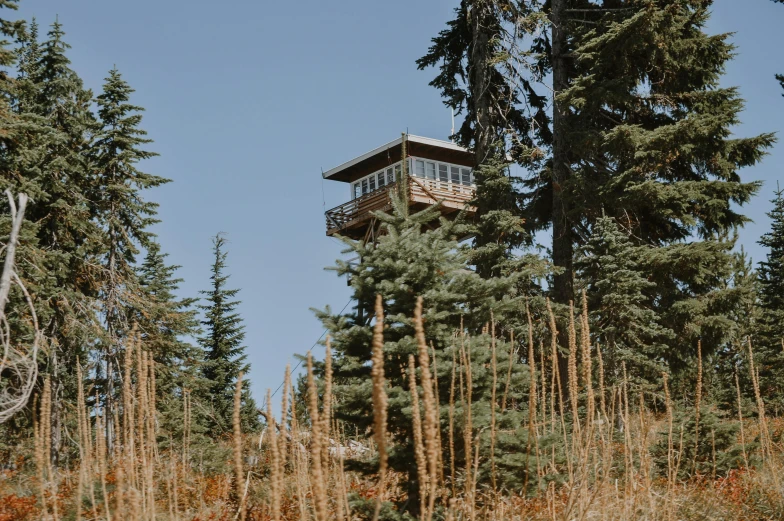 a tall tower sitting in the middle of a forest, by Jessie Algie, unsplash, whistler, watch tower, 2 5 6 x 2 5 6 pixels, fan favorite