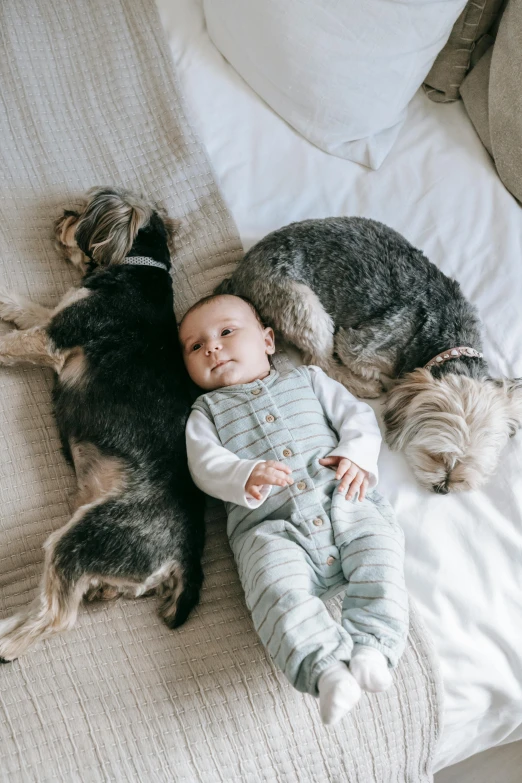 a baby laying on top of a bed next to two dogs, by Nina Hamnett, pexels contest winner, beautiful boy, bedhead, premium quality, dwell