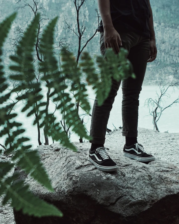 a man standing on top of a large rock, inspired by Elsa Bleda, ferns, sneaker photo, goth aesthetic, trending on vsco