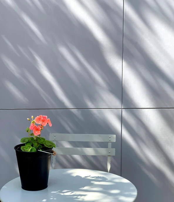 a flower pot sitting on top of a white table, unsplash, light and space, metal cladding wall, great light and shadows”, taken on iphone 1 3 pro, today\'s featured photograph 4k