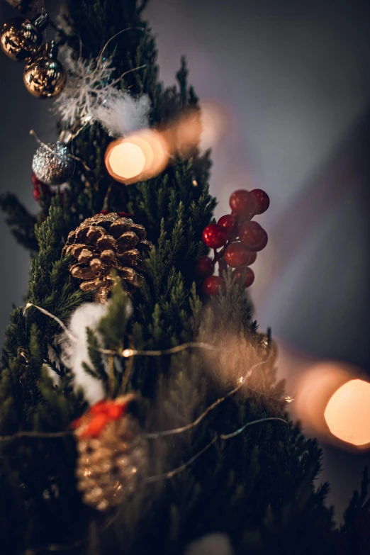 a close up of a christmas tree with lights, a photo, inspired by Ernest William Christmas, pexels, on grey background, botanicals, dark warm light, tall