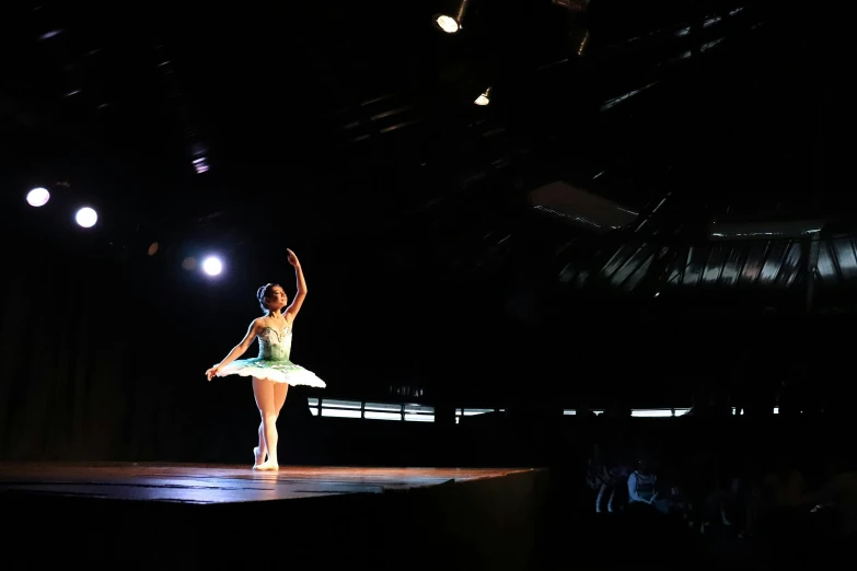 a woman that is standing on a stage, arabesque, from the distance, dressed as a ballerina, shot with sony alpha, cardboard