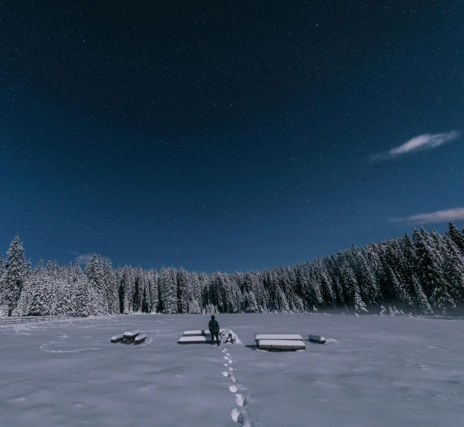 a person walking across a snow covered field, by Matthias Weischer, pexels contest winner, land art, float under moon light at night, standing on a forest, symetrical scene, sitting in a cemetery at night