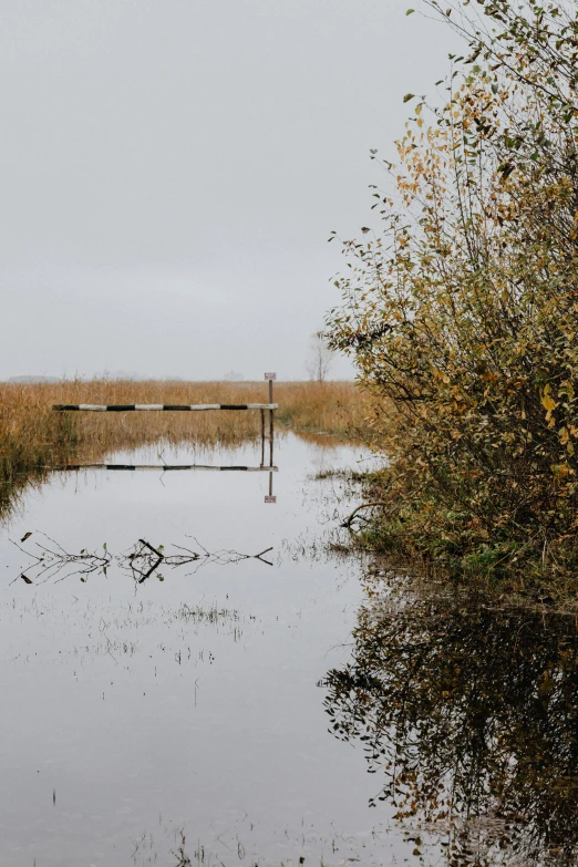 a flooded field with a gate in the middle of it, by Jan Tengnagel, unsplash, land art, 2 5 6 x 2 5 6 pixels, mid fall, stålenhag, hd footage