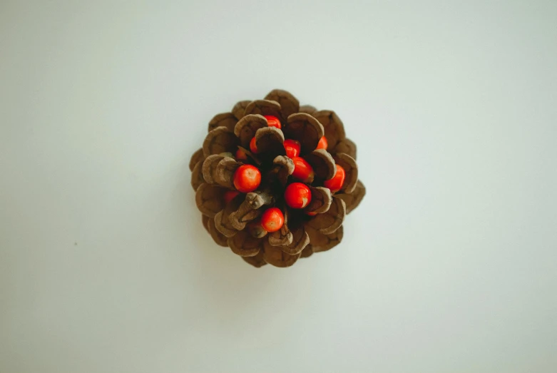 a close up of a pine cone on a table, orange red black white, 35 mm product photo”, on a white table, aerial view top down