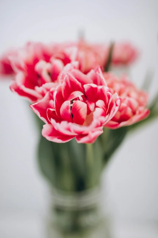 a vase filled with pink flowers on top of a table, pexels, tulip, soft natural light, red, dynamic closeup