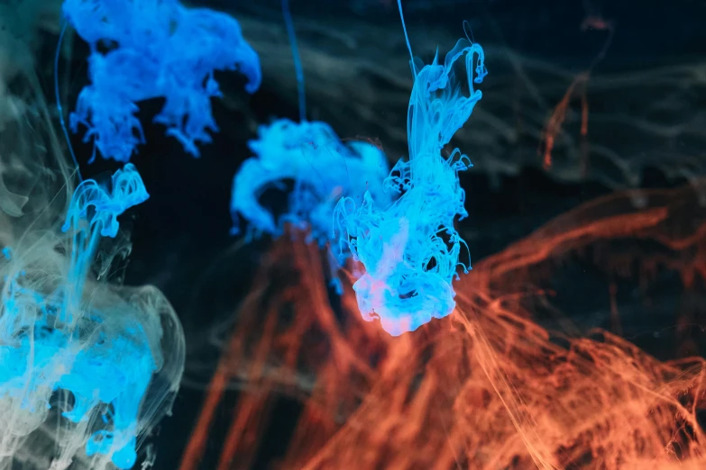 a bunch of blue and red smoke floating in the air, a microscopic photo, inspired by Kim Keever, unsplash contest winner, neon jellyfish, cyan and orange, glowing veins of white, photo of a camp fire underwater