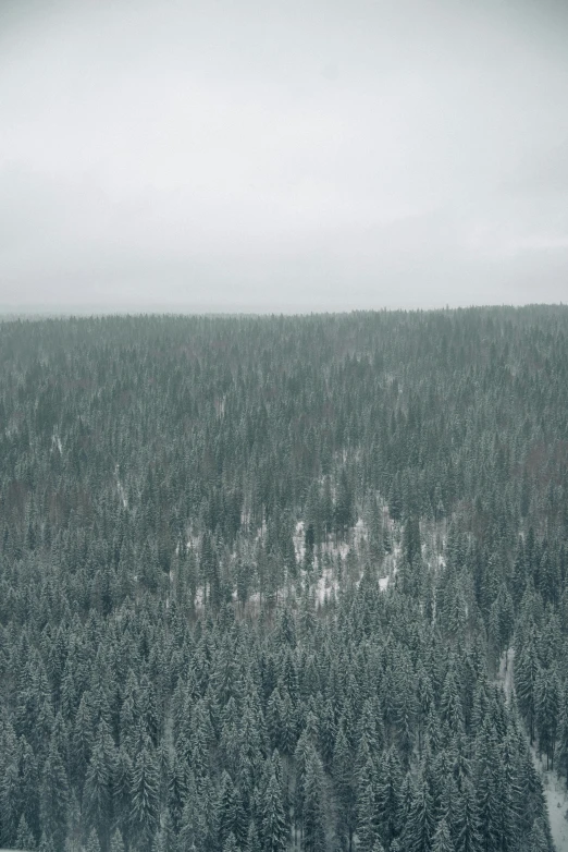 a man riding a snowboard on top of a snow covered slope, inspired by Eero Järnefelt, unsplash contest winner, gloomy forest, view from helicopter, low quality footage, ((forest))