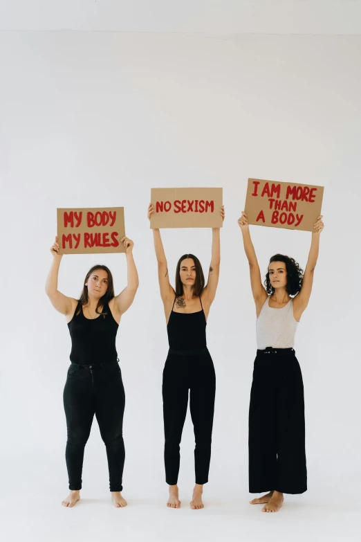 a group of three women holding up signs, by Arabella Rankin, trending on pexels, feminist art, whole body, studio shoot, background image, instagram story