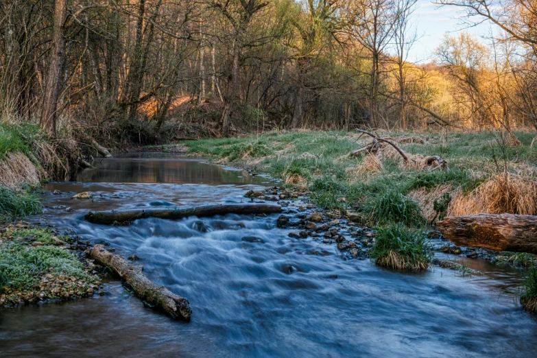 a stream running through a lush green forest, a picture, by Alexander Runciman, unsplash contest winner, fan favorite, midwest countryside, golden hour photo, in an icy river