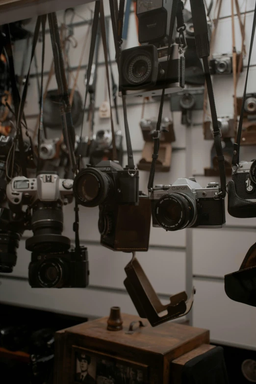 a room filled with lots of different types of cameras, trending on unsplash, straps, brown, showcase, low colour