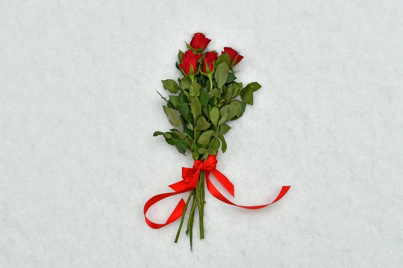 a bunch of red roses sitting on top of a snow covered ground, official product photo, three, wrapped, petite